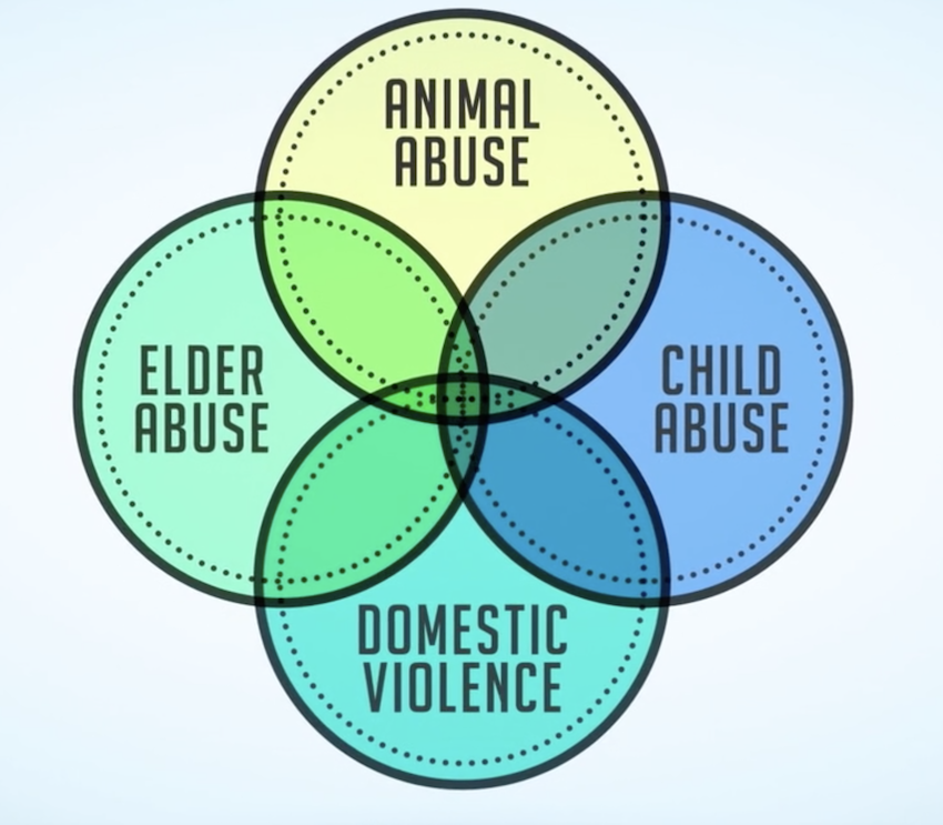 The Oklahoma Link Coalition Animal Conference