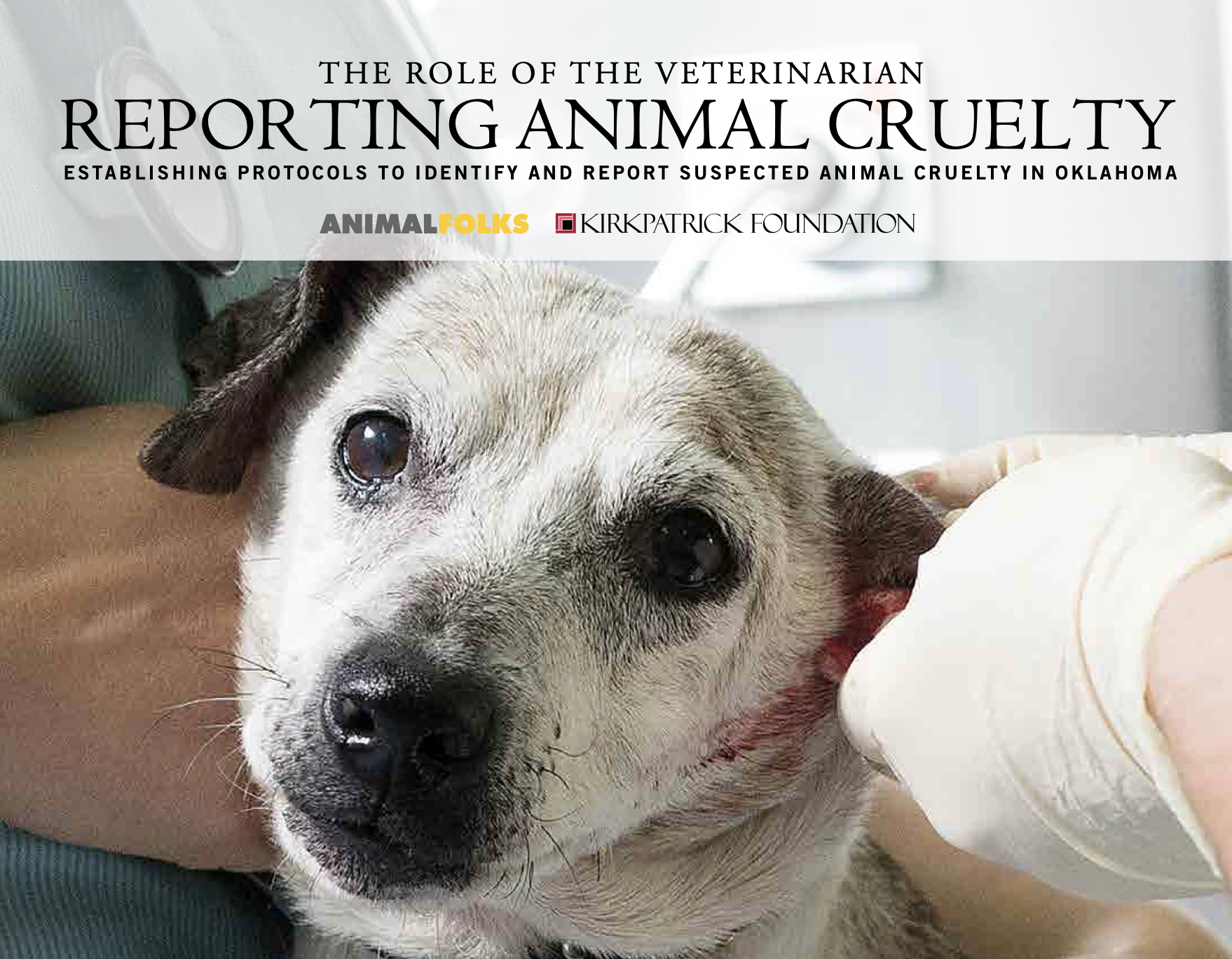 Reporting Animal Cruelty | Animal Conference
